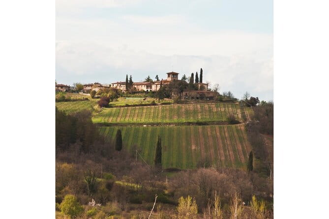 Chianti Wine Tour from Florence to San Gimignano with 2 Wineries - Key moments at a glance