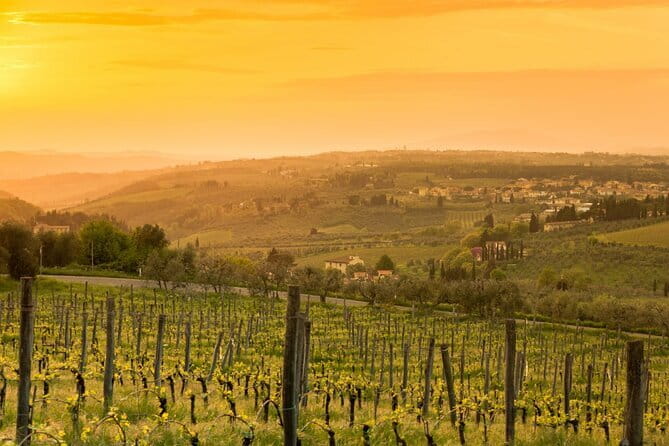 Chianti Wine Tour from Florence to San Gimignano with 2 Wineries - San Gimignano without the stress: 2 hours in a medieval town