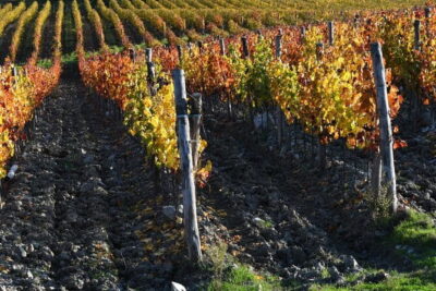 Chianti Wine Tour from Florence to San Gimignano with 2 Wineries - Starting at Piazzale Michelangelo: quick Florence, big payoff