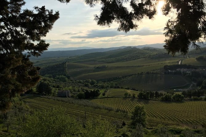 Chianti Wine Tour - Private Wine experience in Tuscany Countryside - Why this Private Chianti Day From Florence Works
