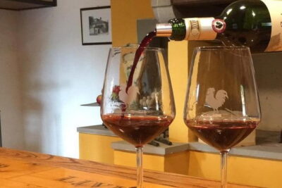 Chianti Wine Tour - Private Wine experience in Tuscany Countryside - Hotel Pickup and the Comfortable Car Setup