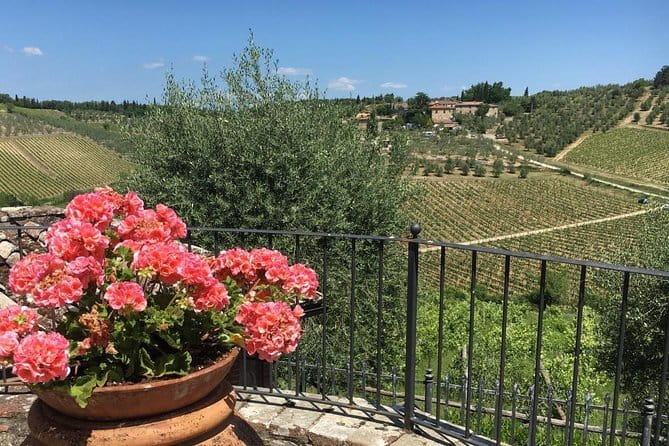 Chianti Wine Tour - Private Wine experience in Tuscany Countryside - The Golden Vase View and the Pesa River Valley