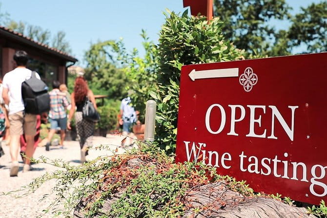 Chianti Wine Tour: Two Wine Tastings, Vineyards and Cellar Visit - Key things that make this Chianti tour worth your time