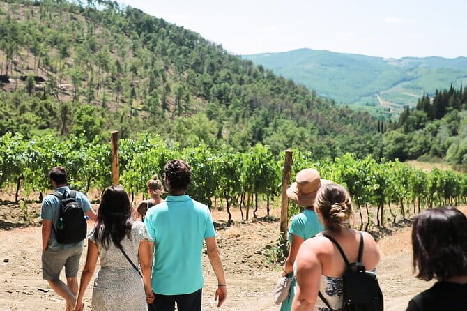 Chianti Wine Tour: Two Wine Tastings, Vineyards and Cellar Visit - Chianti by bus: the Via Chiantigiana route without the hassle
