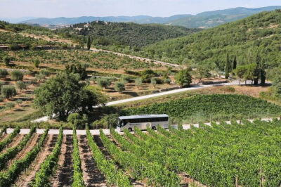 Chianti Wine Tour: Two Wine Tastings, Vineyards and Cellar Visit - Stop 2: Senese Chianti Classico views, then a cellar tour and broader tasting