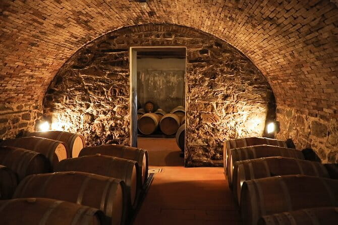 Chianti Wine Tour: Two Wine Tastings, Vineyards and Cellar Visit - Price and what you get for $65.53