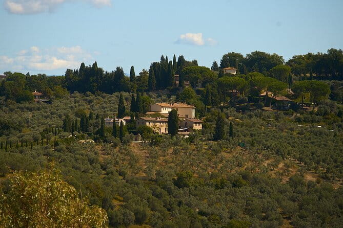 Chianti Wine Tour with Tastings Semi-Private Experience - Why This Chianti Day Works So Well From Florence