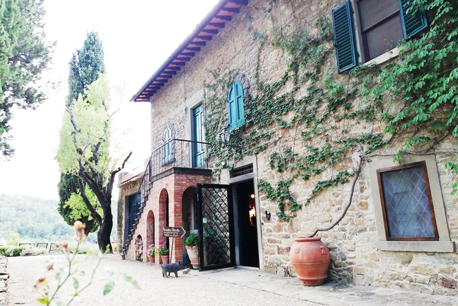 Chianti Wine Tour with Tuscan Lunch Open Top Van - Guide style and group size: why this feels more personal