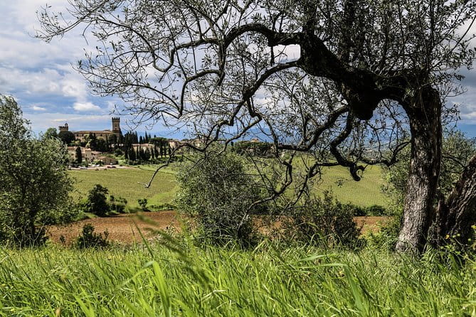Cinque Terre & Pisa Premium Tour from Florence - How much of the five towns you will see in practice