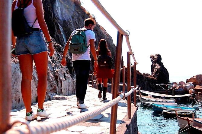 Cinque Terre & Pisa Premium Tour from Florence - Cinque Terre National Park: UNESCO views and one famous closure
