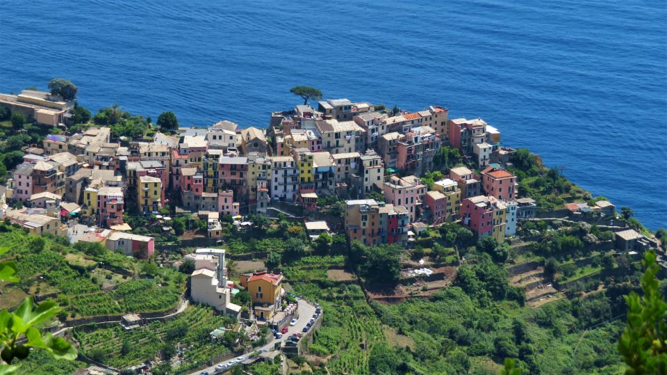 Cinque Terre Private Day Trip from Florence - Lunch on the Waterfront and Wine With 11th-Century Roots