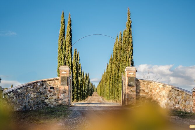 Classic Wine Tasting in Montalcino - Price and value: is $36.12 for 45 minutes a smart buy?