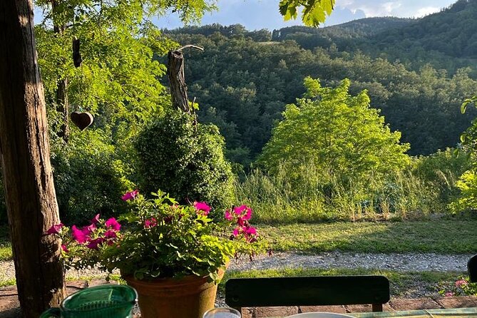 Cooking Class for Pasta Lovers in Florence Country House - Where You Meet, and How the Day Flows to the Hills