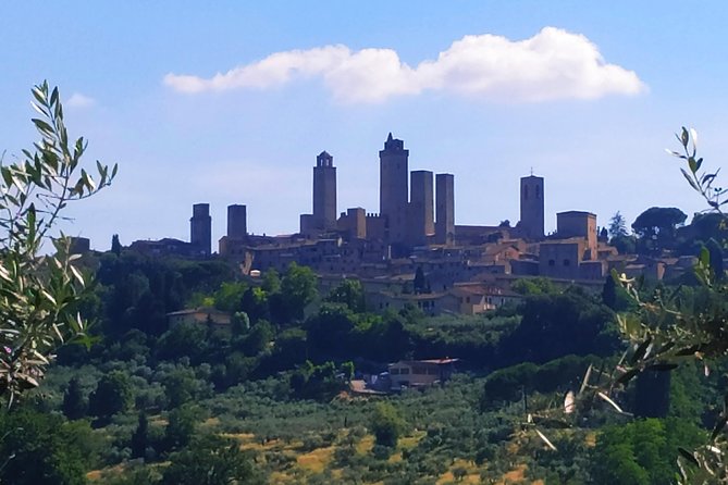 Cooking Class in a Real Tuscan Farmhouse - Cooking in the countryside: why this Chianti class feels different