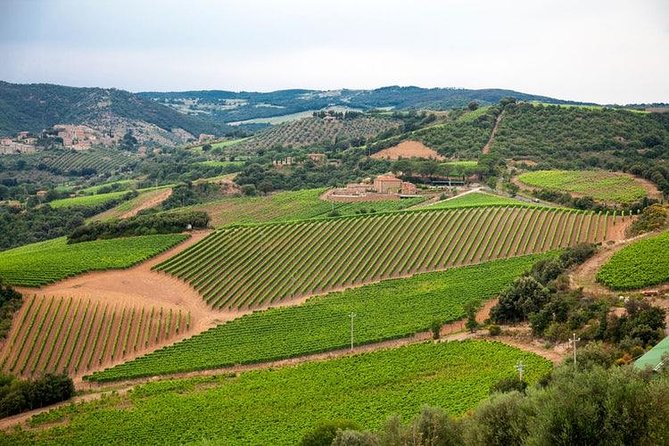 Day Trip Pisa, Siena, San Gimignano. - Key things to know before you go