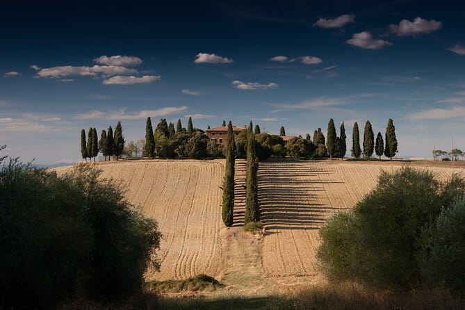 Discover Chianti: Half-Day Tour - Key things that make this tour click