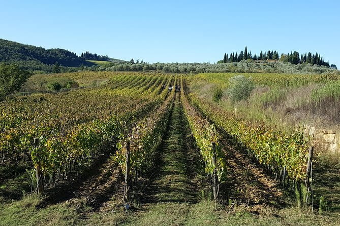 Discover Chianti Through its Wines - A Small-Group Chianti Winery Stop Just Outside Florence