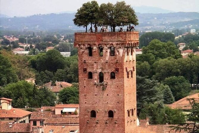 Discover Lucca and Pisa and Enjoy Buccellato Cake: Full Day Tour - Piazza dei Miracoli Walking Tour: Where You Learn to Look