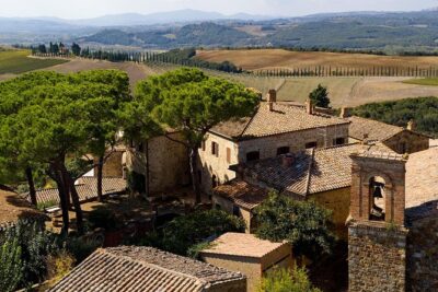 Discover Montalcino through its best productions: Brunello & Saffron!! - The saffron farm twist: turning a spice trip into a flavor story