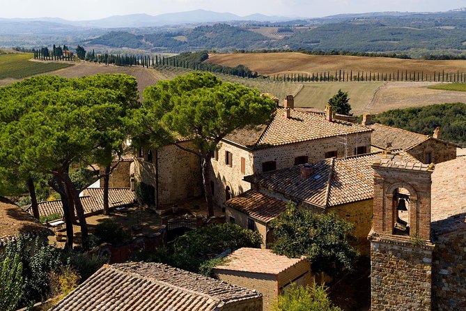 Discover Montalcino through its best productions: Brunello & Saffron!! - The saffron farm twist: turning a spice trip into a flavor story