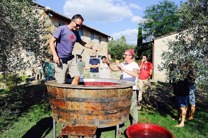 Discover Organic and Biodynamic Chianti Small Wineries - Key things I’d circle before you go