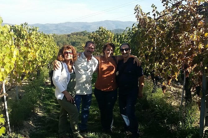Discover Organic and Biodynamic Chianti Small Wineries - Why organic and biodynamic Chianti tastes like a choice, not a buzzword