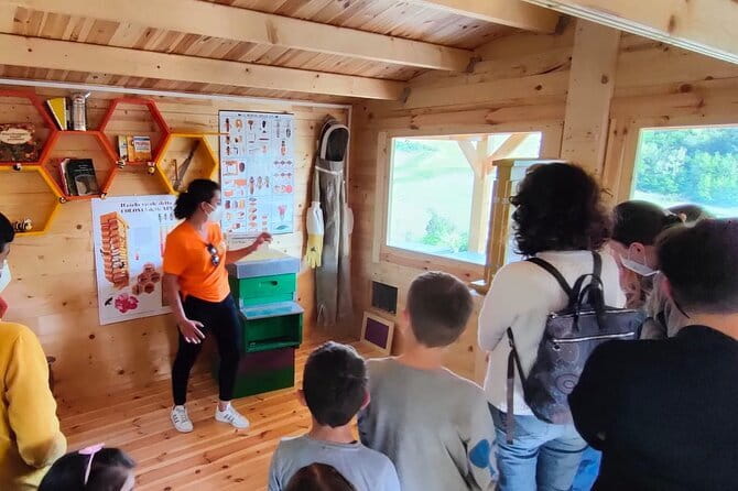 Discovering Bees in Volterra - Honey extraction in the laboratory and the tasting finale