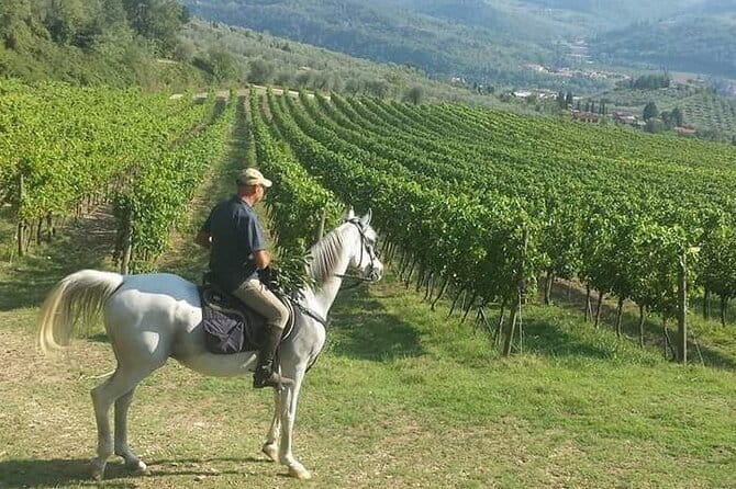 E-bike 2.5 hour Florence & Tuscany With Fresh Olive Oil and Bread - The ride itself: how “easy” the e-bike really is