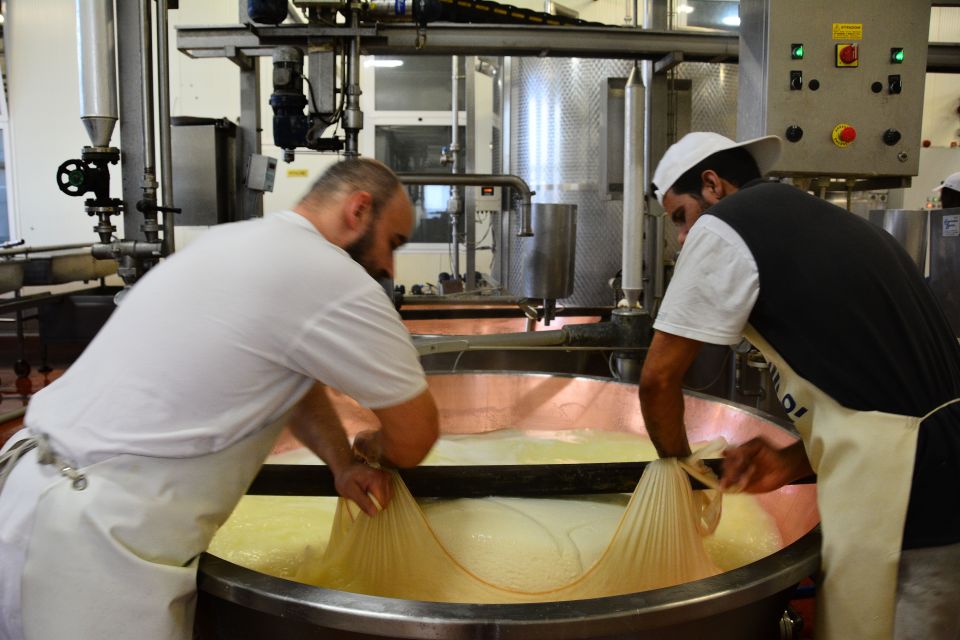 Emila-Romagna: Parmigiano, Prosciutto, Wine & Balsamic Tour - Lambrusco Winery Time: Wine With the Sommelier’s Lens