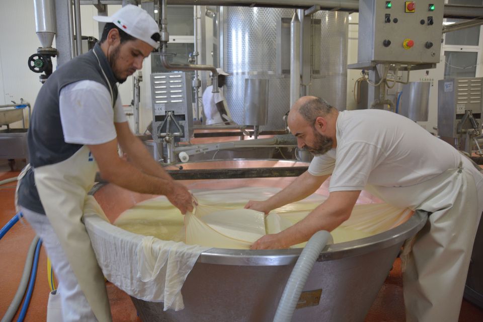 Emila-Romagna: Parmigiano, Prosciutto, Wine & Balsamic Tour - Price and Value: Why $498 Can Make Sense for This Kind of Access