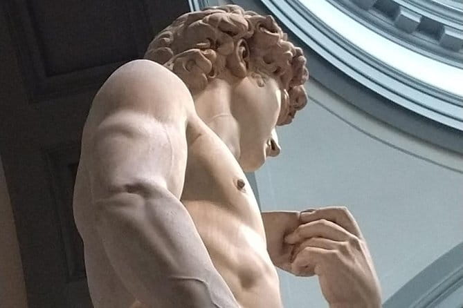 Enjoy Michelangelo's David Tour - Standing with David: what the guide actually helps you notice