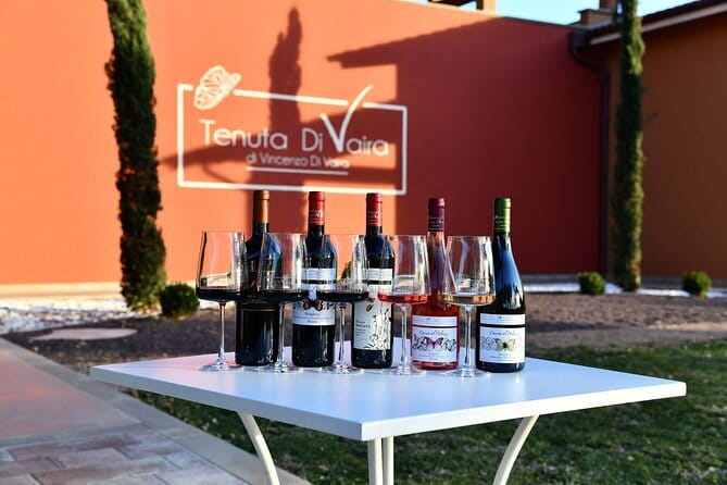 Exclusive Bolgheri from Florence: The Land of the Super Tuscan - A full day in Bolgheri: how this feels different from a standard Tuscany trip