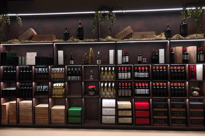 Exclusive Bolgheri from Florence: The Land of the Super Tuscan - Pickup in Florence and the drive that sets the tone