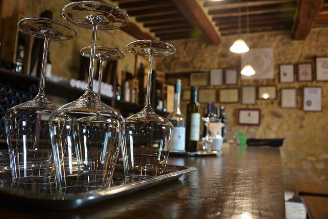 Exclusive Brunello di Montalcino tour from Florence - Brunello di Montalcino from Florence: a long day that’s actually wine-friendly