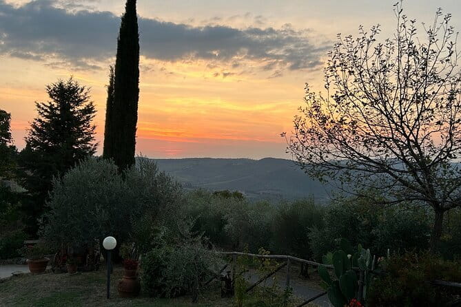 Exclusive Chianti Classico Day Trip from Florence - Why this Chianti Classico day feels different from DIY