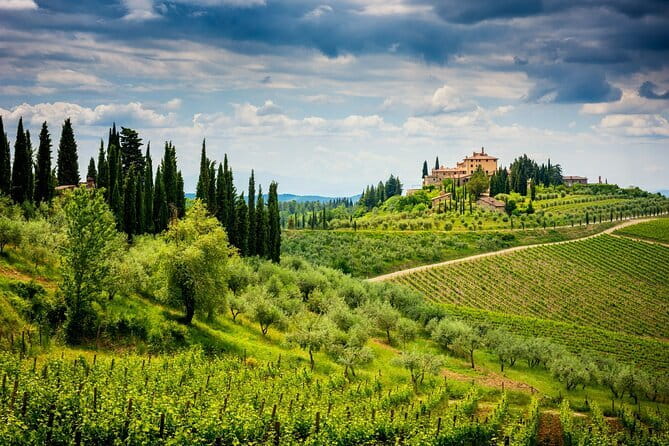 Exclusive Chianti Classico Day Trip from Florence - Stop 3 in Greve: Savignola and the Paolina Riserva story