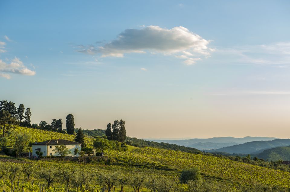 Exclusive Chianti Rufina Half-Day with lunch from Florence - Key things I’d circle before you book