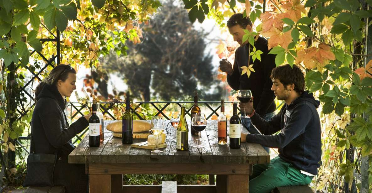 Exclusive Chianti Rufina Half-Day with lunch from Florence - Why Chianti Rufina Comes Off Different From Other Chianti