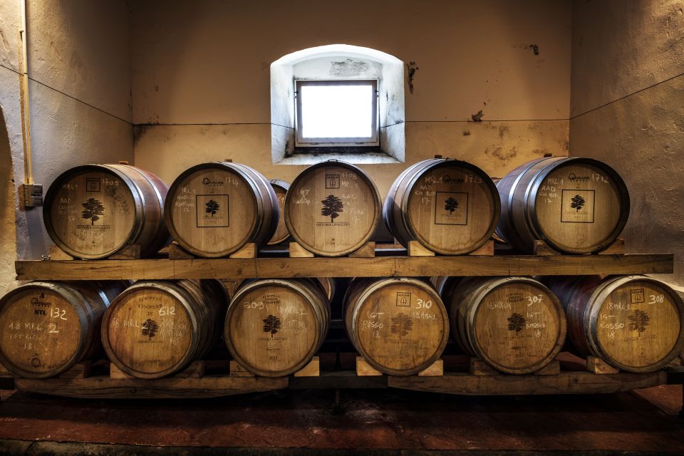 Exclusive Chianti Rufina Half-Day with lunch from Florence - Stop 2: Tenuta Bossi with km 0 Lunch and Olive Oil Tasting