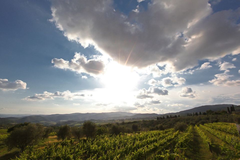 Exclusive Chianti Rufina Half-Day with lunch from Florence - The Sommelier/Guide Approach: How the Explanations Help You Taste