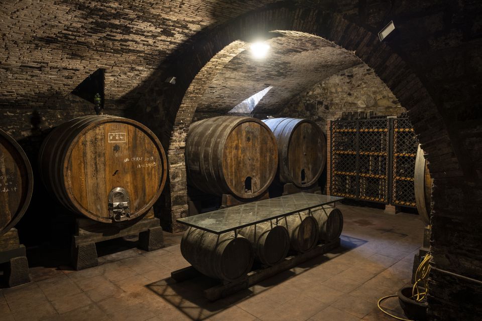 Exclusive Chianti Rufina Half-Day with lunch from Florence - Wine and Food Pairing Reality: What the km 0 Lunch Does