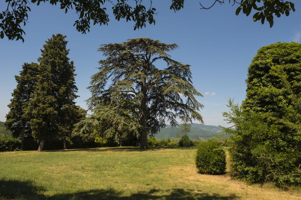 Exclusive Chianti Rufina Half-Day with lunch from Florence - Price and What You Actually Get for $450.56