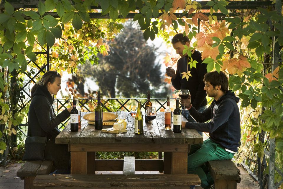 Exclusive Chianti Rufina Half-Day with lunch from Florence - Who This Half-Day Chianti Rufina Tour Fits Best