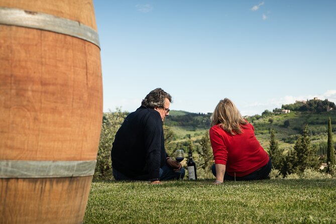 Exclusive lunch, Winery tour, Organic wines in Chianti Classico - The four-course exclusive lunch: Tuscan specialties and standout tiramisu