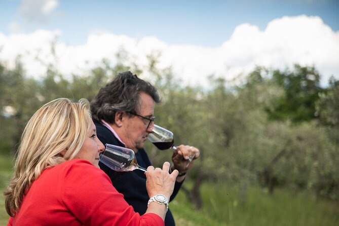 Exclusive lunch, Winery tour, Organic wines in Chianti Classico - Organic wines in Chianti Classico: what this tour helps you understand