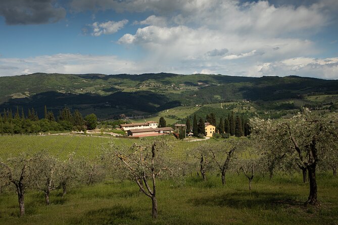 Exclusive lunch, Winery tour, Organic wines in Chianti Classico - How long it takes and how to schedule it with Florence plans