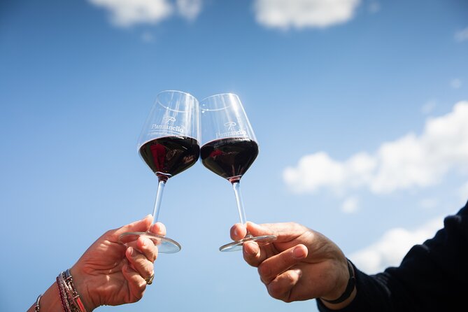 Exclusive lunch, Winery tour, Organic wines in Chianti Classico - Who this tour fits best (and who might want something else)