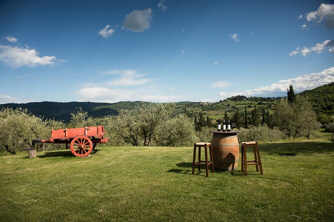 Exclusive lunch, Winery tour, Organic wines in Chianti Classico - Stop 1: Panzanello winery tour and private tasting in Chianti Classico