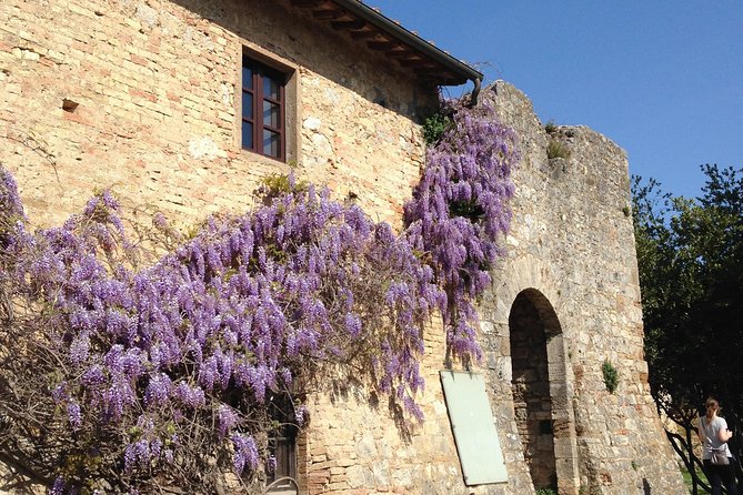 Exclusive Private tour To Siena and San Gimignano - Key highlights if you’re deciding