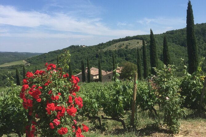 Exclusive Private tour To Siena and San Gimignano - Air-conditioned comfort and private pacing: what you’re paying for